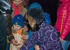 Foto (80) : Zimníček - 7.11.2015